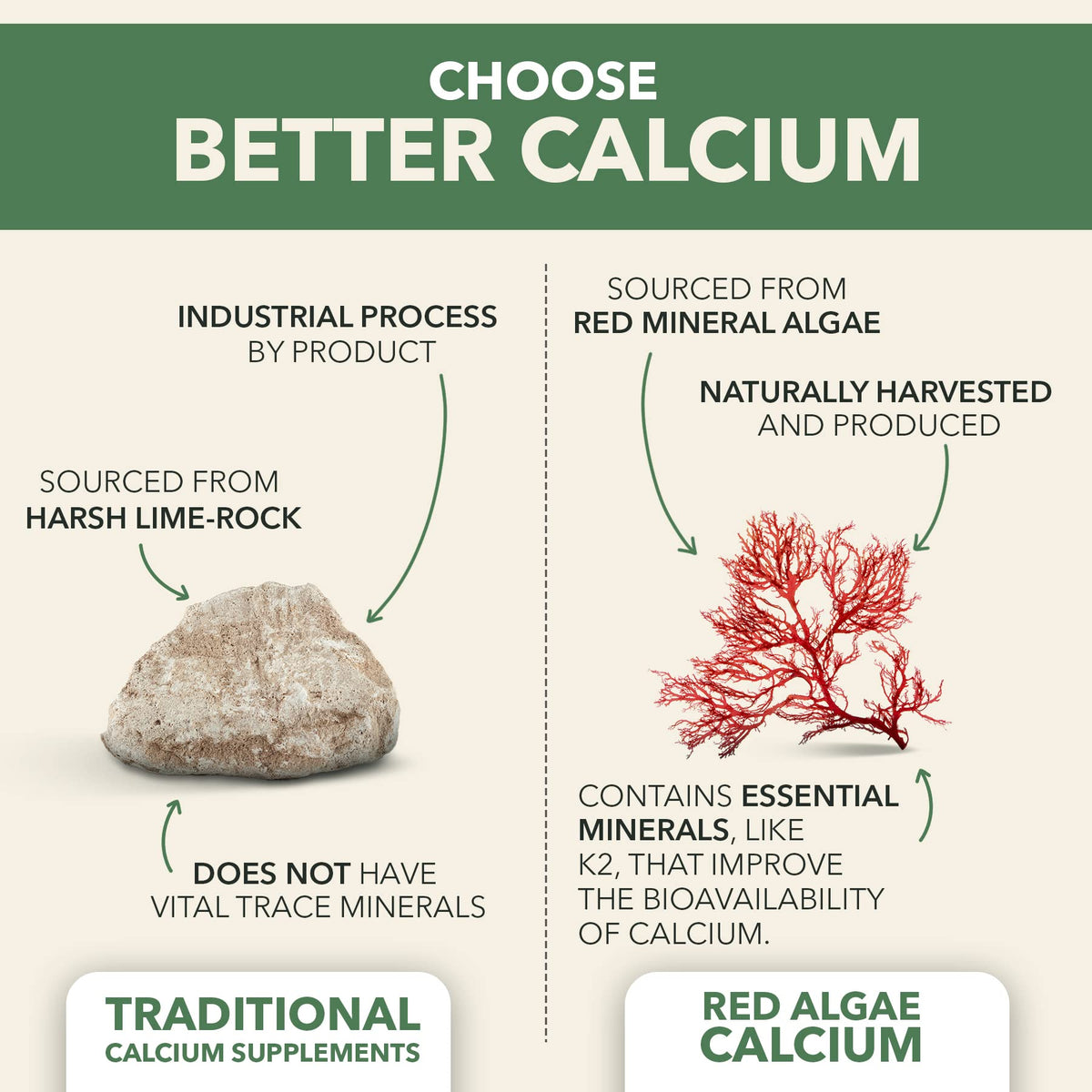 PlantFusion Vegan Calcium, Premium Plant Based Calcium (1000mg) Sourced from Icelandic Red Algae, Plus Magnesium, D3, K2 - PrimeBioHealth - canada supplements