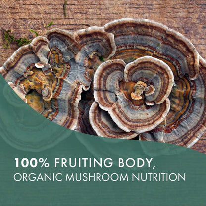 PURE ESSENCE LABS Organic Turkey Tail 4X Mushroom Extract, Vegan Mushrooms Supplement for Immune Building, 30 Capsules - PrimeBioHealth - canada supplements