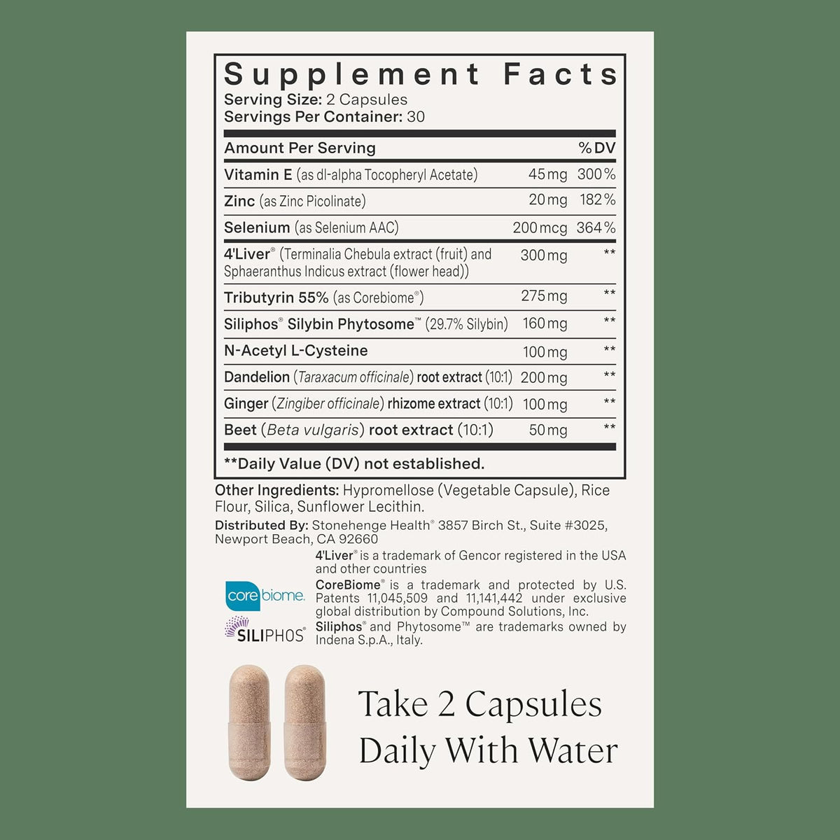 Stonehenge Health Dynamic Liver – Siliphos Milk Thistle Formula – Liver Support & Antioxidant Support, Gut-Liver Axis, Selenium, Zinc, Vitamin E, Ginger, Beetroot Extract Non-GMO, 60 Veg Caps (2 Pack) - PrimeBioHealth - canada supplements