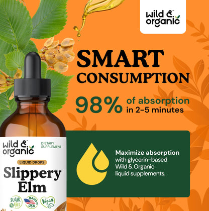 Wild & Organic Slippery Elm Liquid Drops - Lung, Digestive & Women's Support - Slippery Elm Bark Supplement - Add to Tea Tincture - Ulmus Rubra Herb - Vegan, Sugar & Alcohol-Free - 4 fl oz - PrimeBioHealth - canada supplements