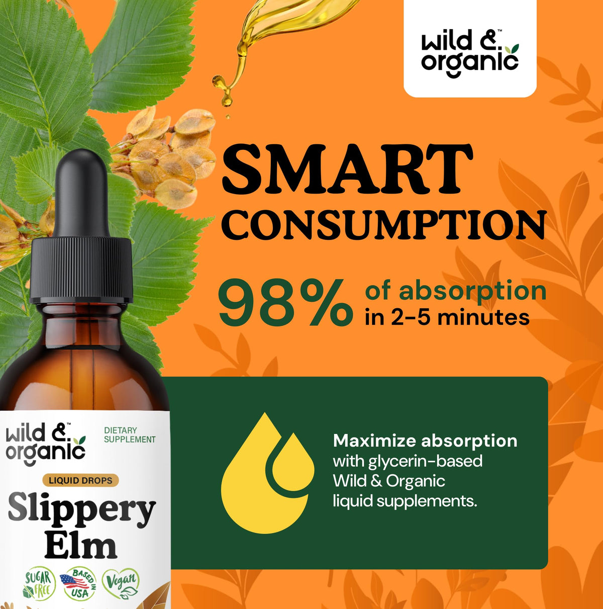 Wild & Organic Slippery Elm Liquid Drops - Lung, Digestive & Women's Support - Slippery Elm Bark Supplement - Add to Tea Tincture - Ulmus Rubra Herb - Vegan, Sugar & Alcohol-Free - 4 fl oz - PrimeBioHealth - canada supplements