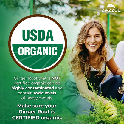 Zazzee USDA Organic Ginger Root 20:1 Extract, 5% Gingerols, 100 Vegan Capsules, 3+ Month Supply, Zingiber Officinale, Digestive & Stomach Support, All-Natural, Non-GMO, Made in the USA - PrimeBioHealth - canada supplements